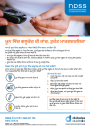 Thumbnail of Blood Glucose Checks quick guide PDF in Punjabi