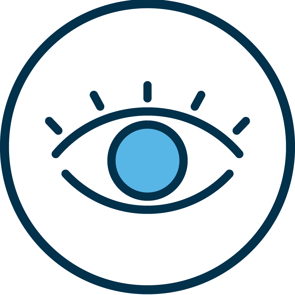 Icon of an eye