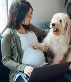 Pregnant woman on sofa with her dog trying to use laptop